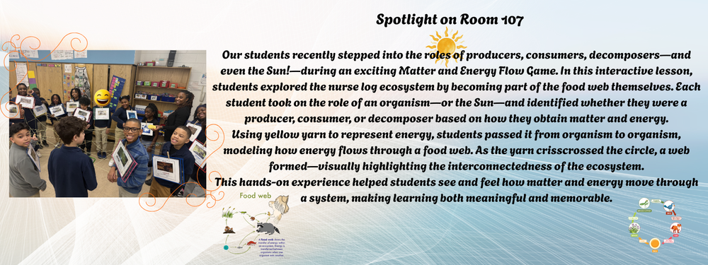 Spotlight on Room 107