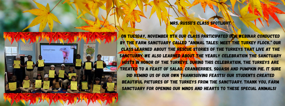 Spotlight on Room 202