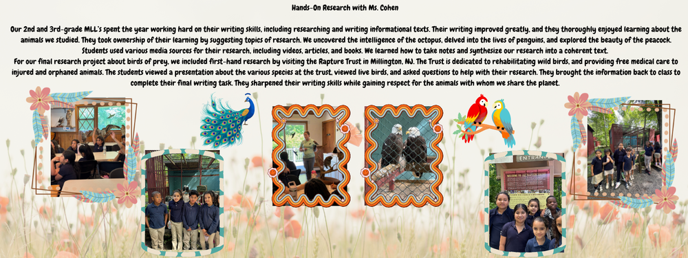 Ms. Cohen's spotlight