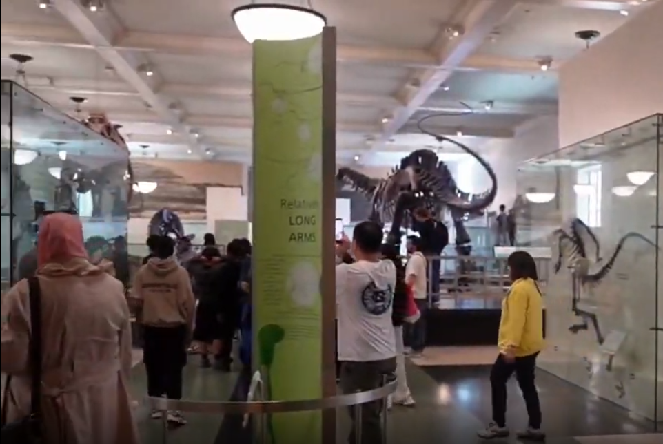 museum