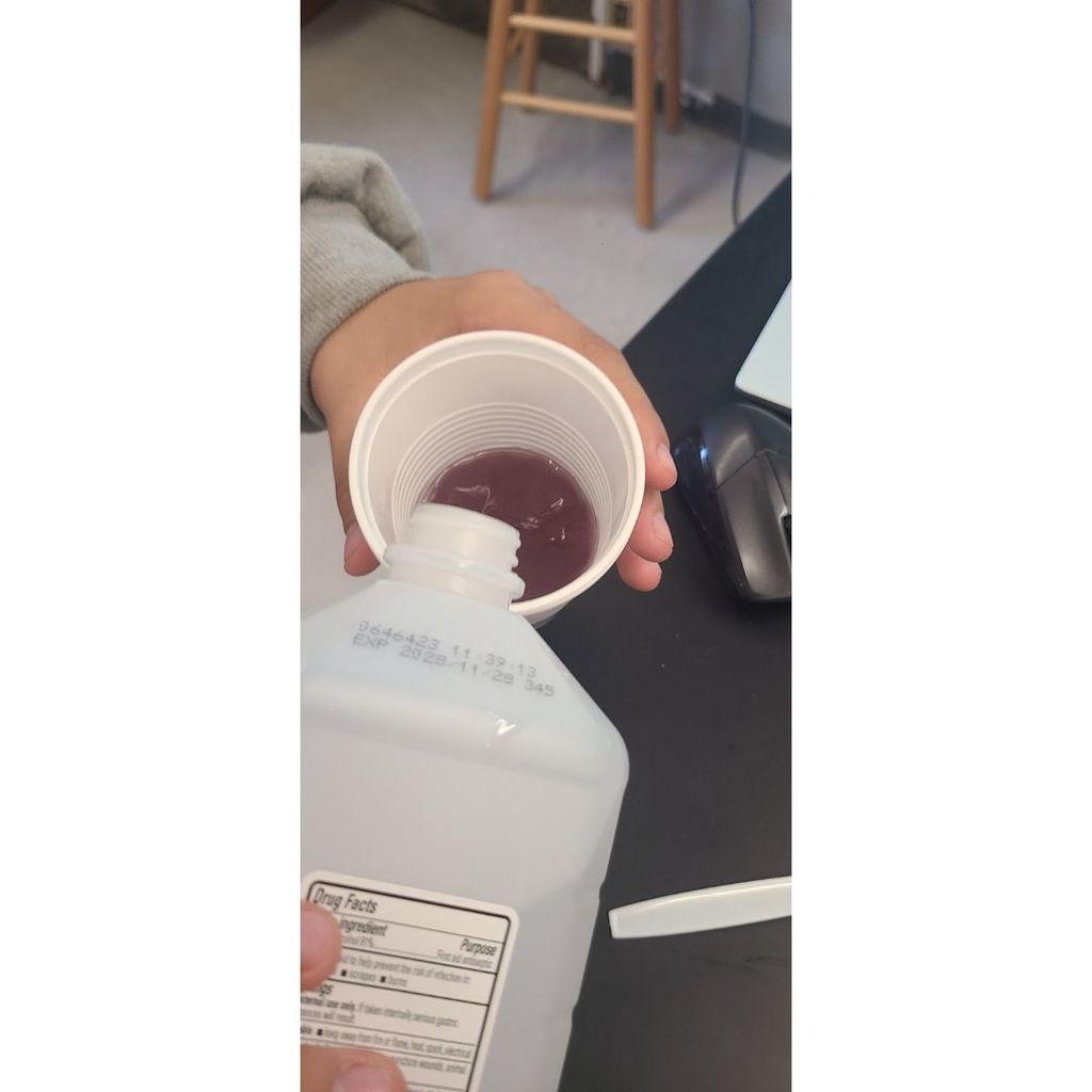DNA Extraction Summer Academies