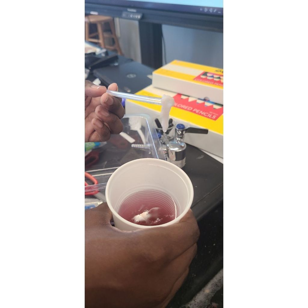 DNA Extraction Summer Academies