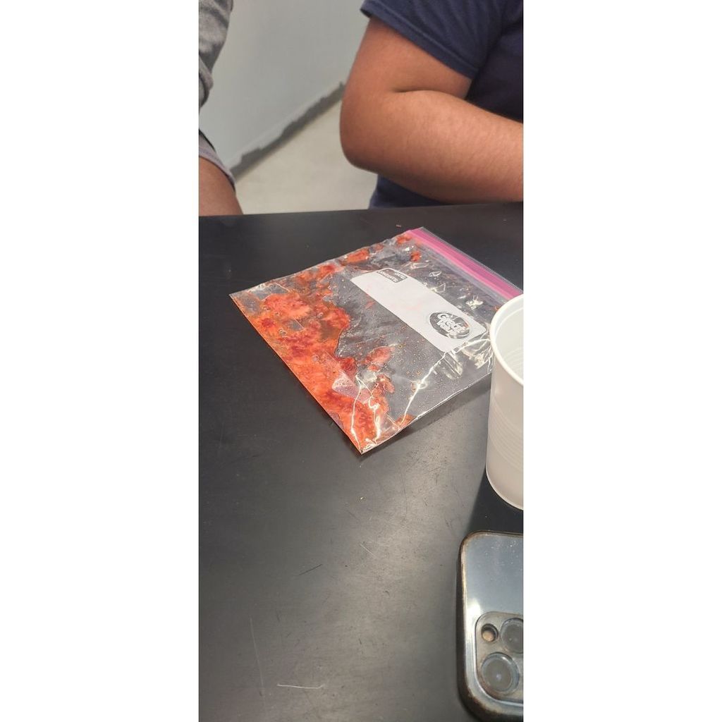 DNA Extraction Summer Academies