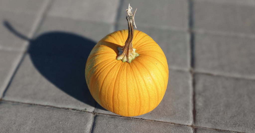 2nd Harvest at Hillside High School