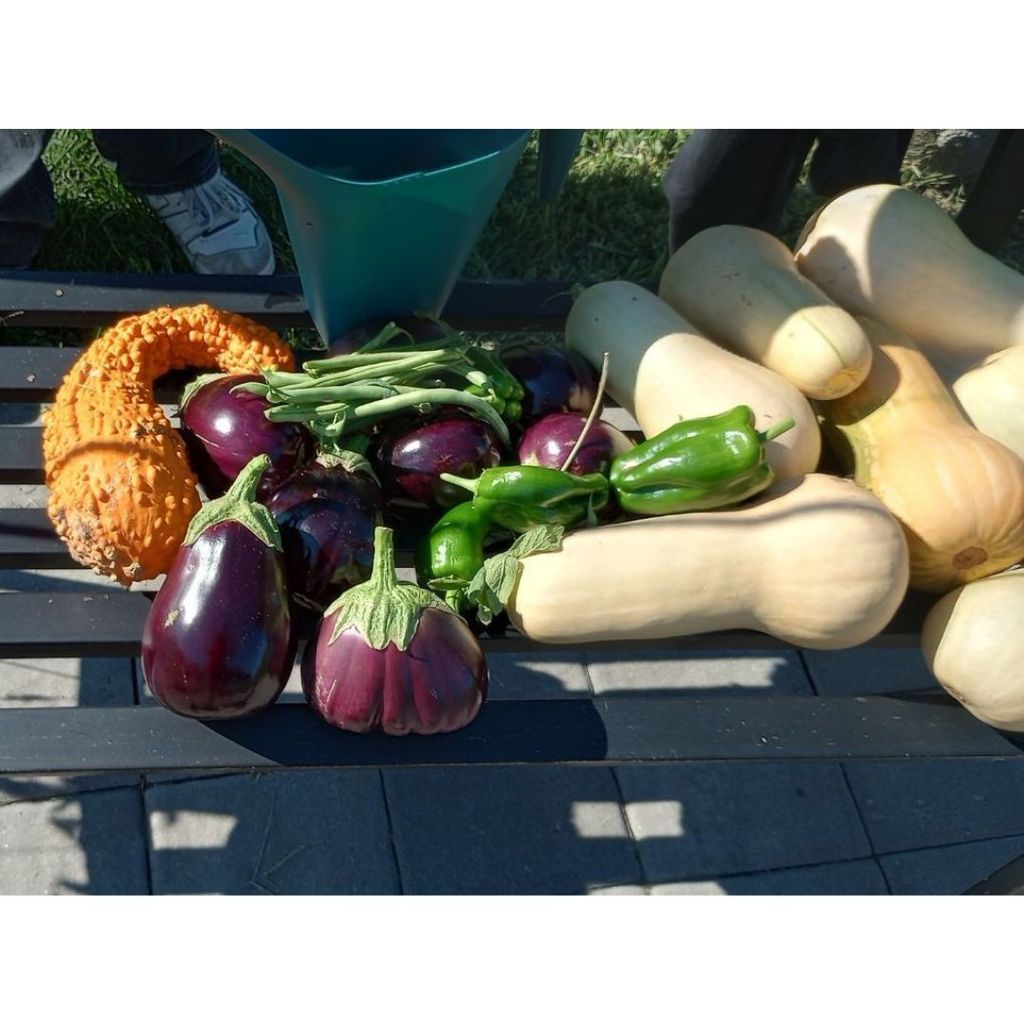 2nd Harvest at Hillside High School