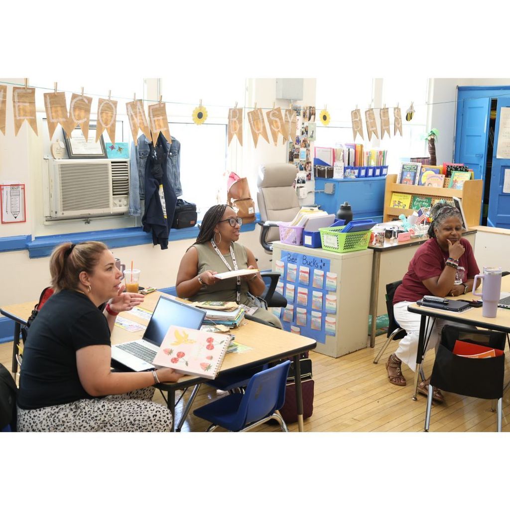 Professional Development Summer 2025