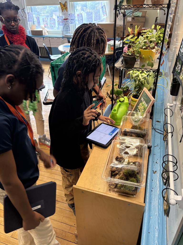 OpenSciEd 5th grade units 