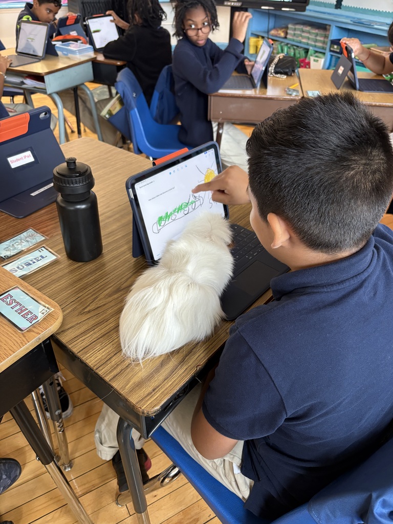 OpenSciEd 5th grade units 