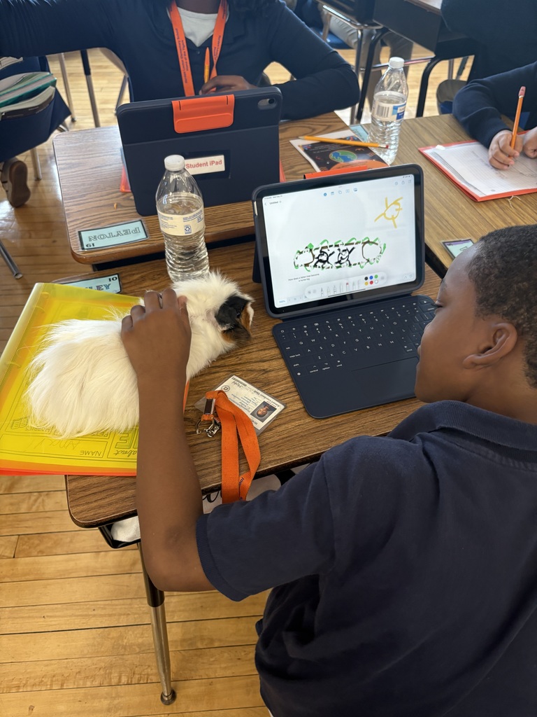 OpenSciEd 5th grade units 