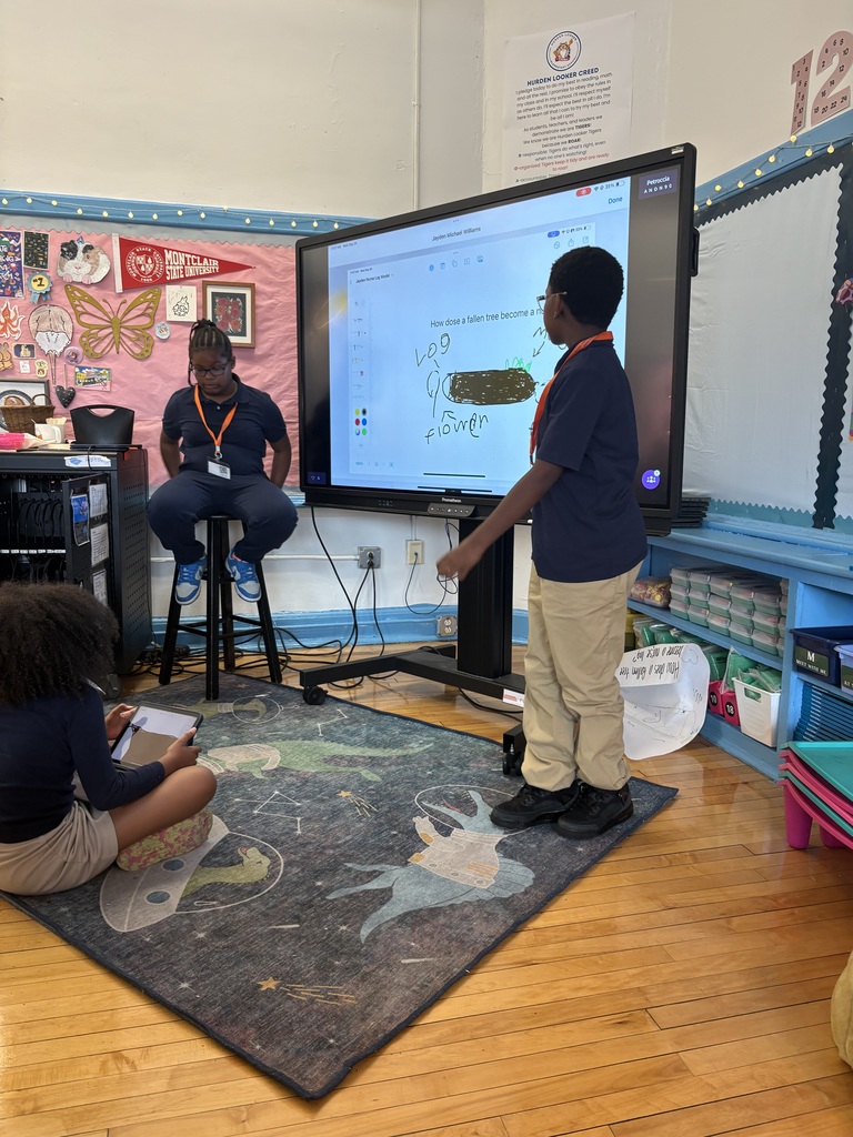 OpenSciEd 5th grade units 
