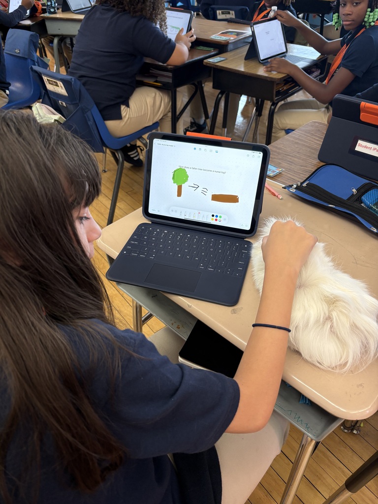 OpenSciEd 5th grade units 