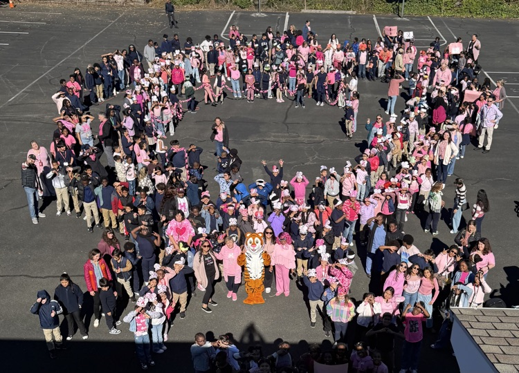 Pink Out at Hurden Looker
