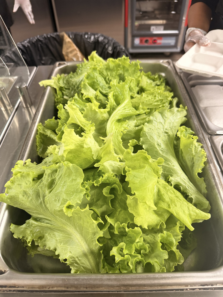 DGTA Lettuce