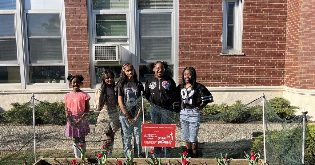 Tulips at DGTA
