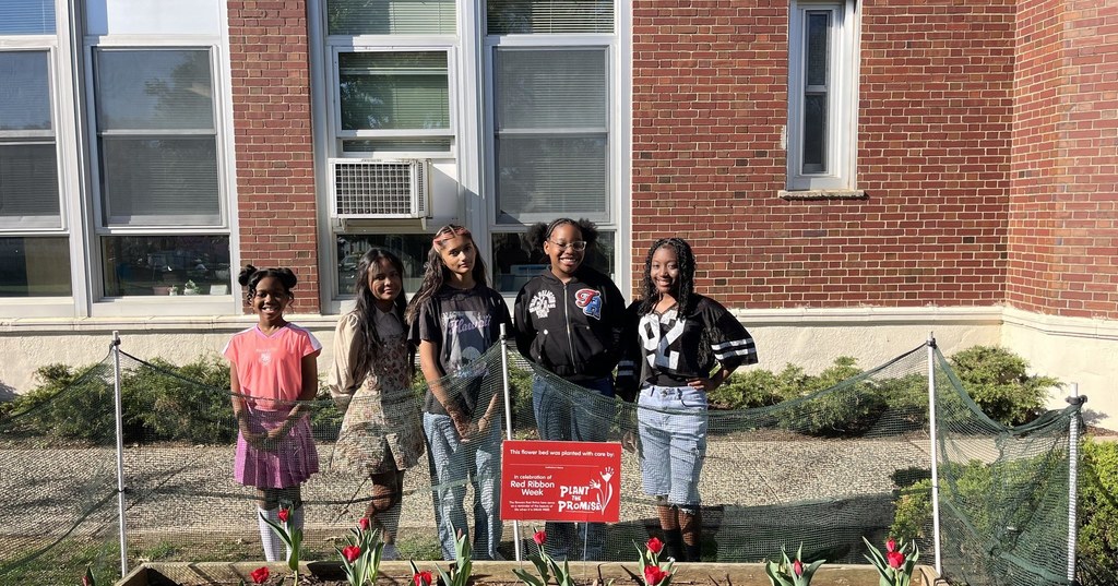 Tulips at DGTA