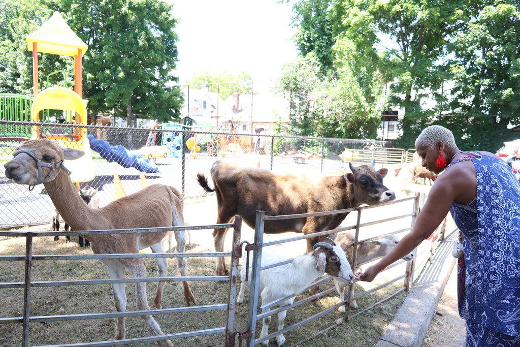 Petting Zoo at A.P. Morris 2026