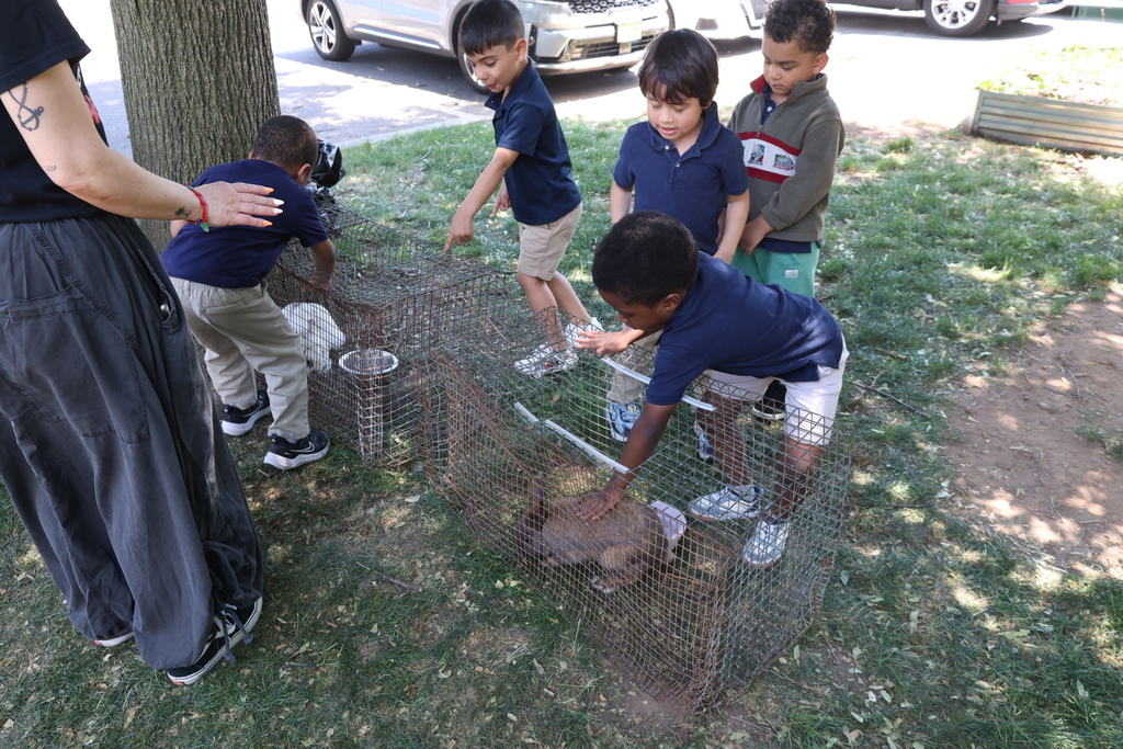 Petting Zoo at A.P. Morris 2026