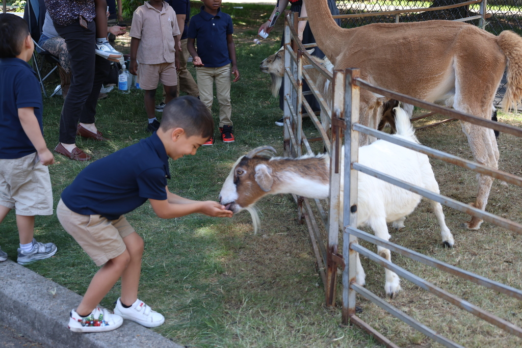 Petting Zoo at A.P. Morris 2026