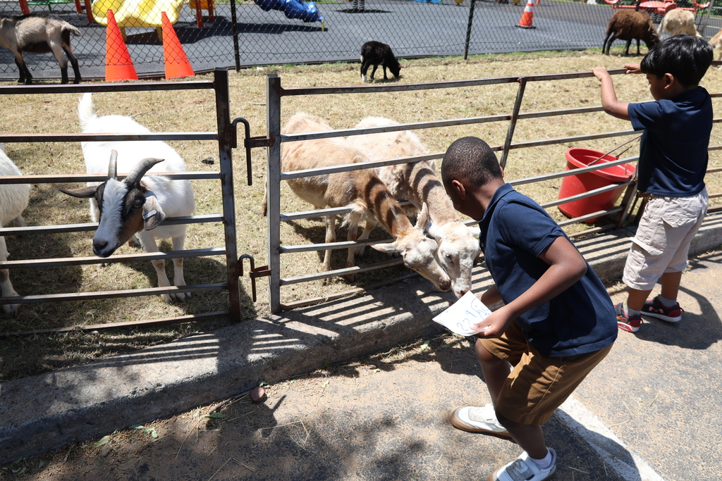 Petting Zoo at A.P. Morris 2026