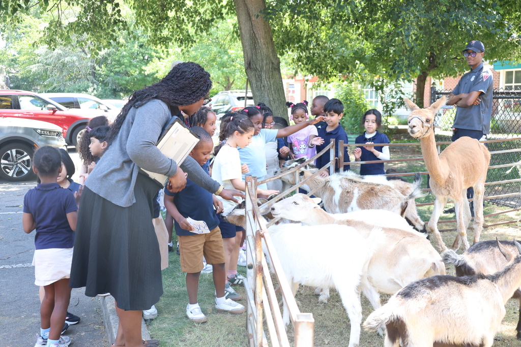 Petting Zoo at A.P. Morris 2026