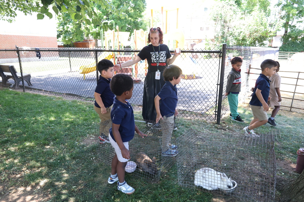 Petting Zoo at A.P. Morris 2026