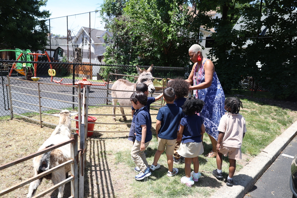 Petting Zoo at A.P. Morris 2026