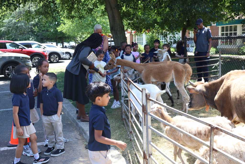 Petting Zoo at A.P. Morris 2026