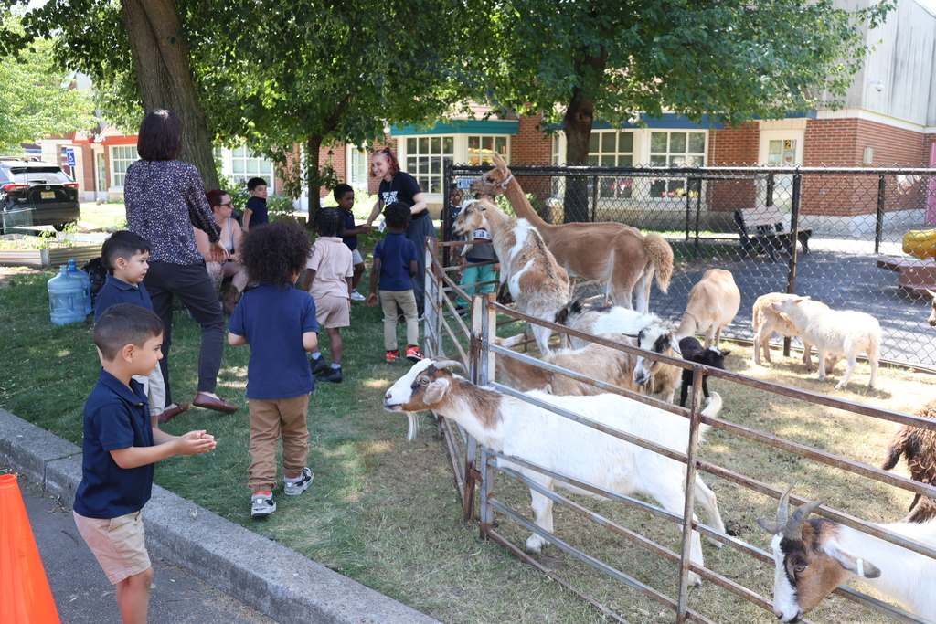 Petting Zoo at A.P. Morris 2026