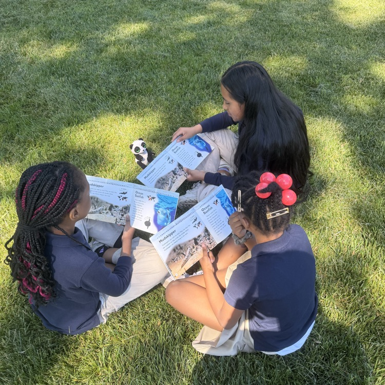 OECS reading outside 