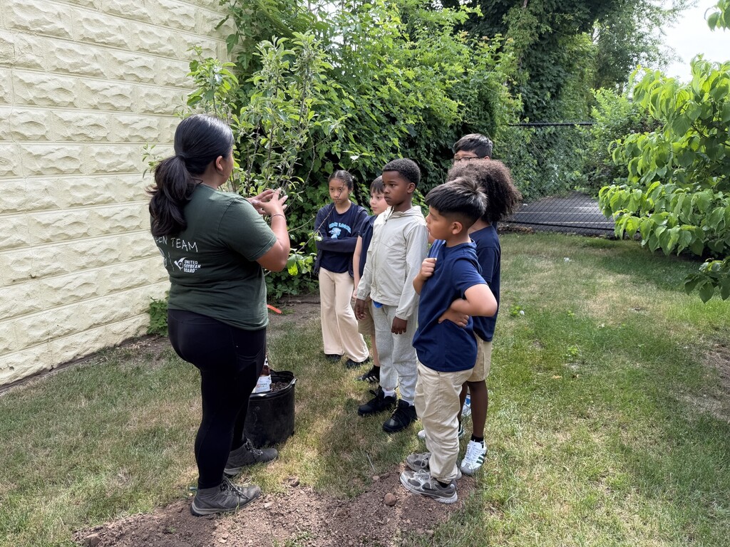 Apple Tree at Hurden Looker 
