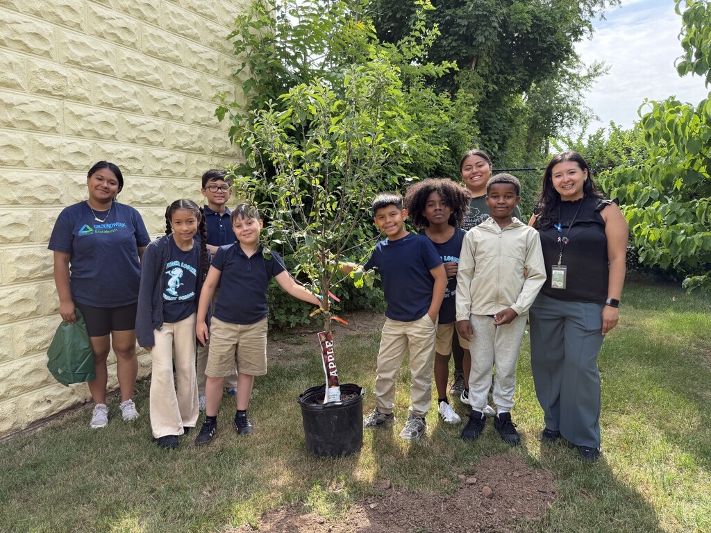 Apple Tree at Hurden Looker 