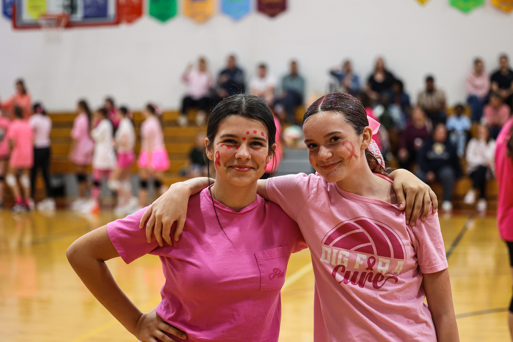 breast cancer Game