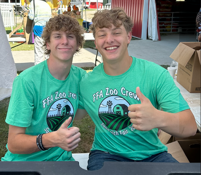 Sandwich Fair Petting Zoo