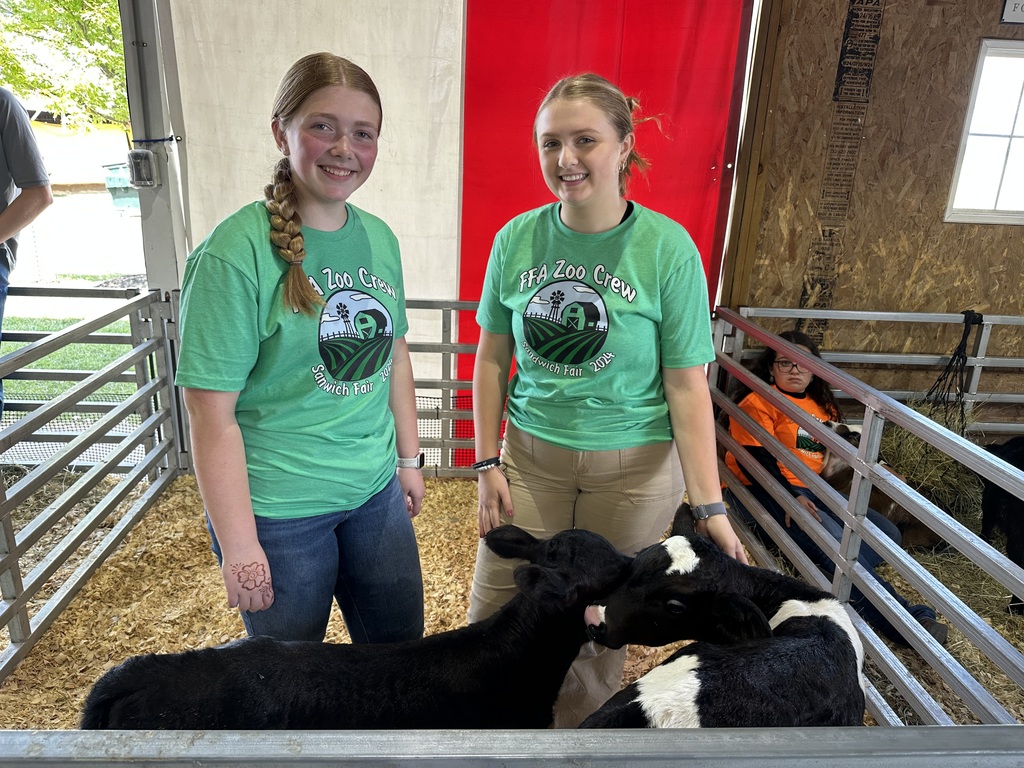 Sandwich Fair Petting Zoo
