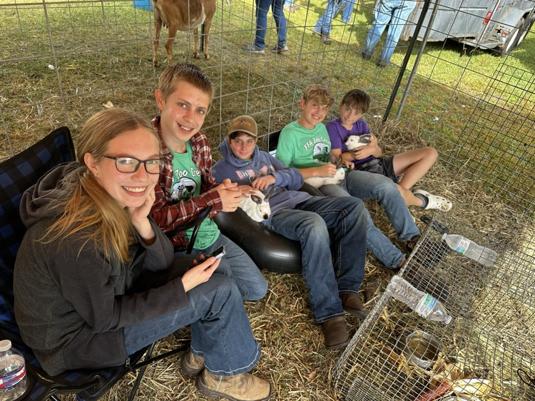 Plowing Match Petting Zoo
