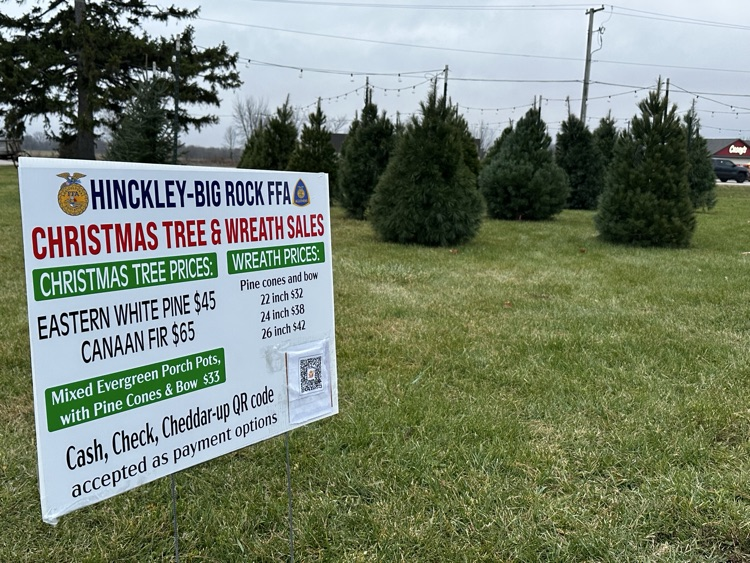 HBR FFA Tree & Wreath Sale