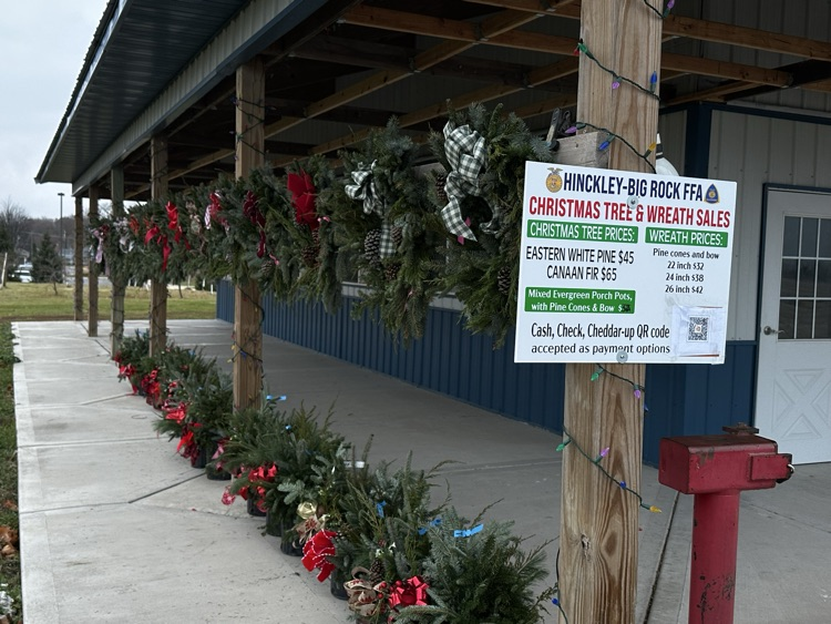 HBR FFA Tree & Wreath Sale