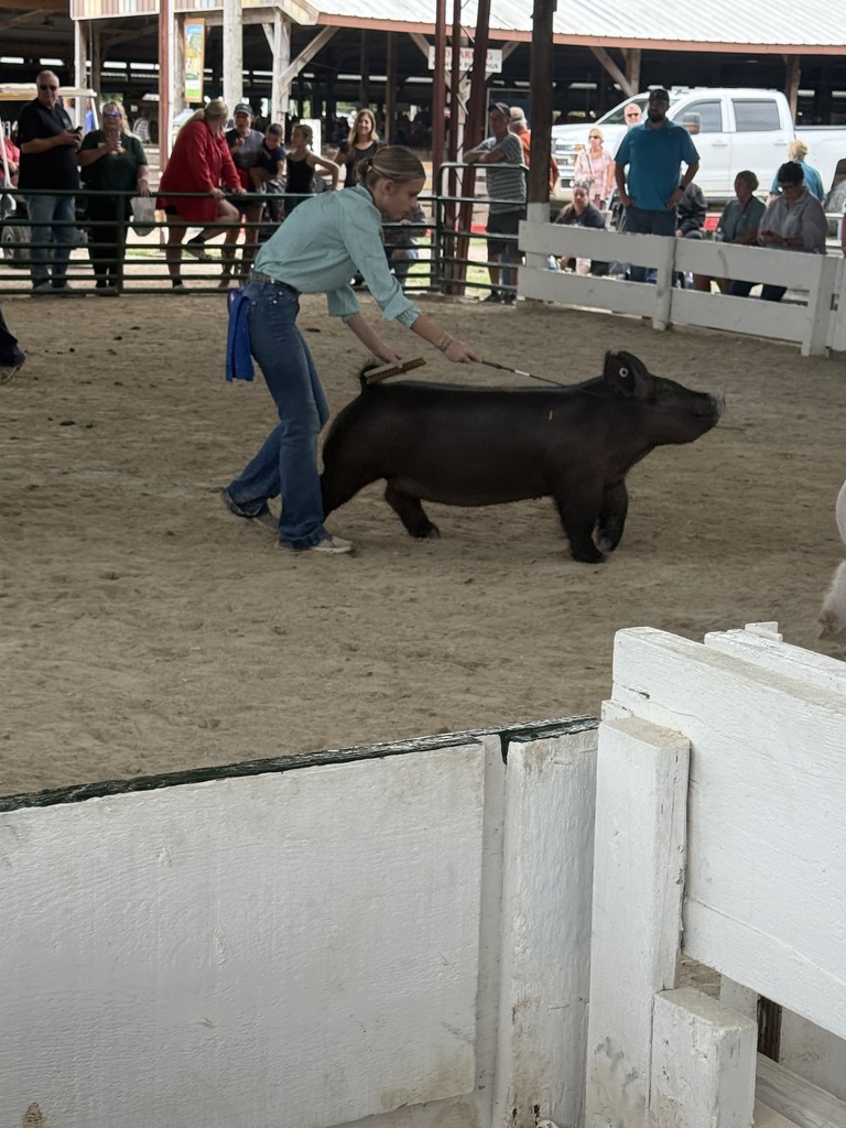 Sandwich Fair