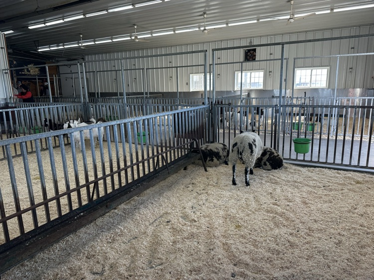 Livestock Barn
