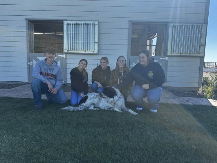 Hummel Livestock 
