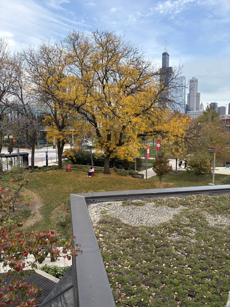 campus 