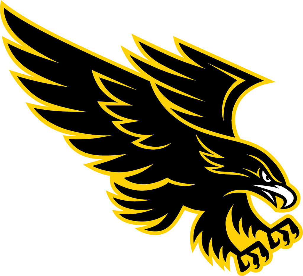 Blackhawk 