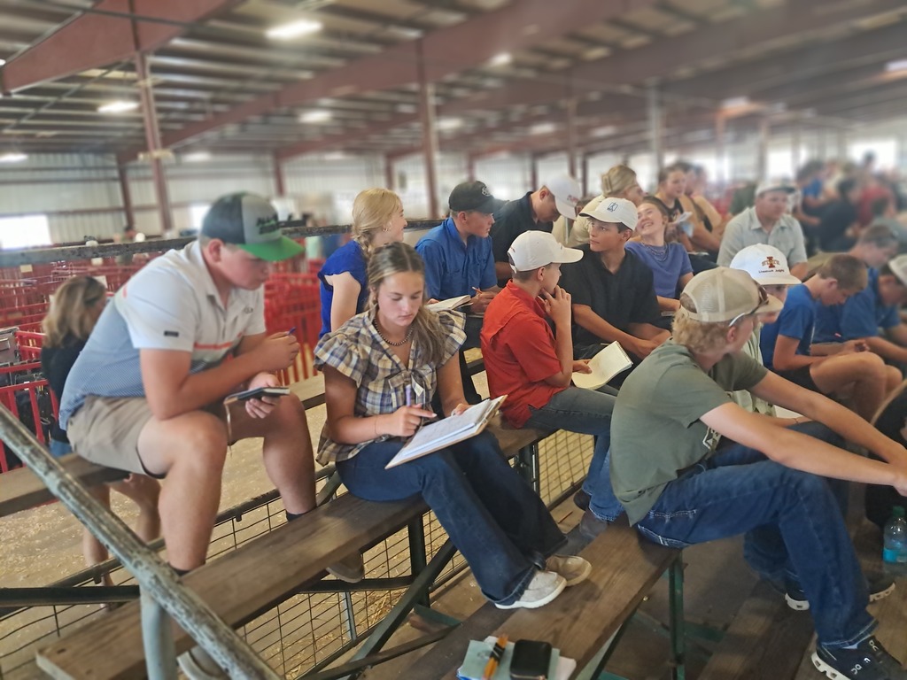 District Livestock Judging Team