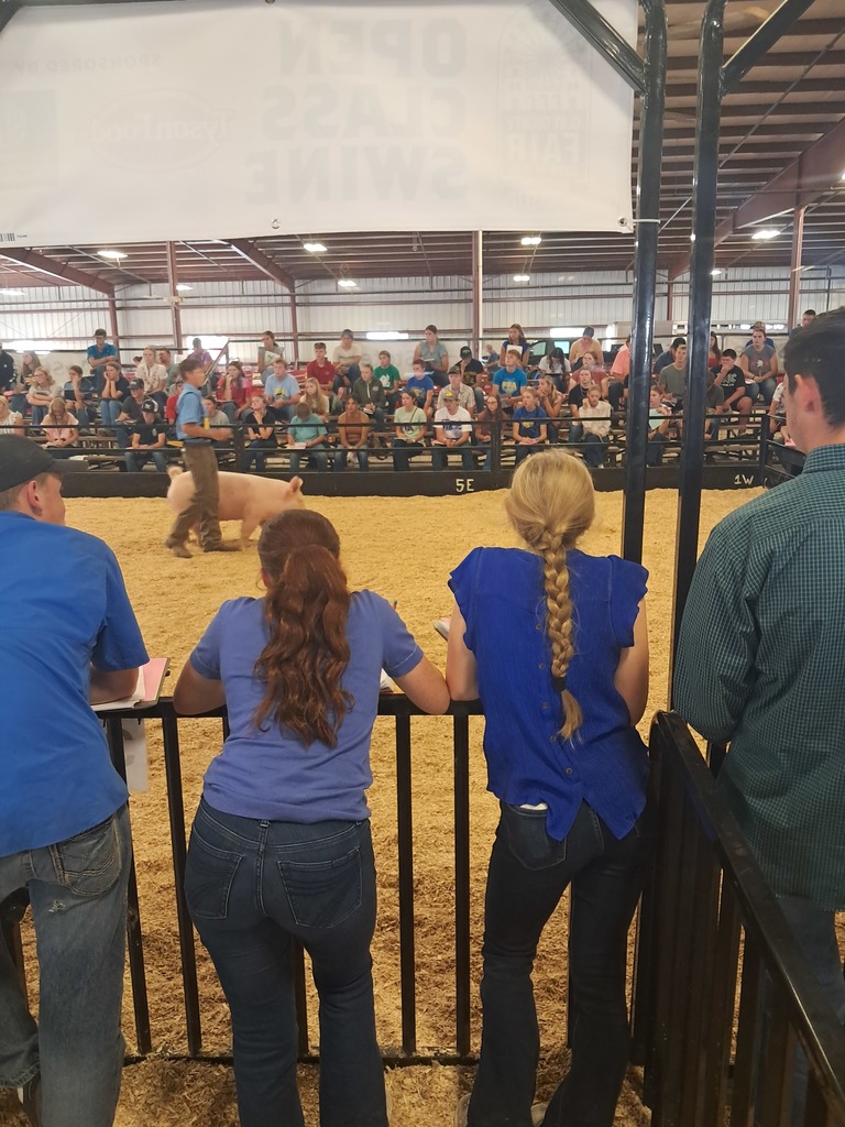 District Livestock Judging Team