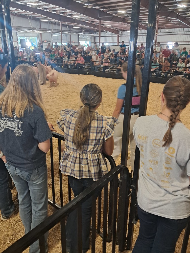District Livestock Judging Team