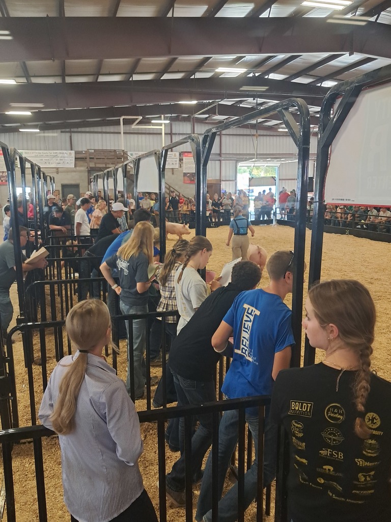 District Livestock Judging Team