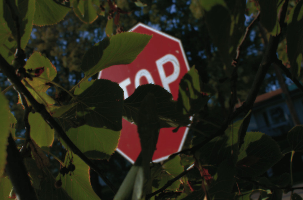 Obstructed Stop Sign