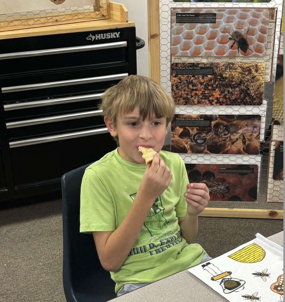 Trying the fresh honey!