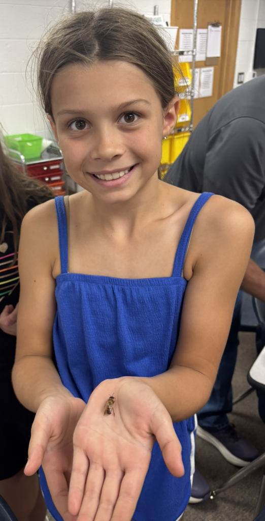 Holding a drone bee (drones don't have stingers)