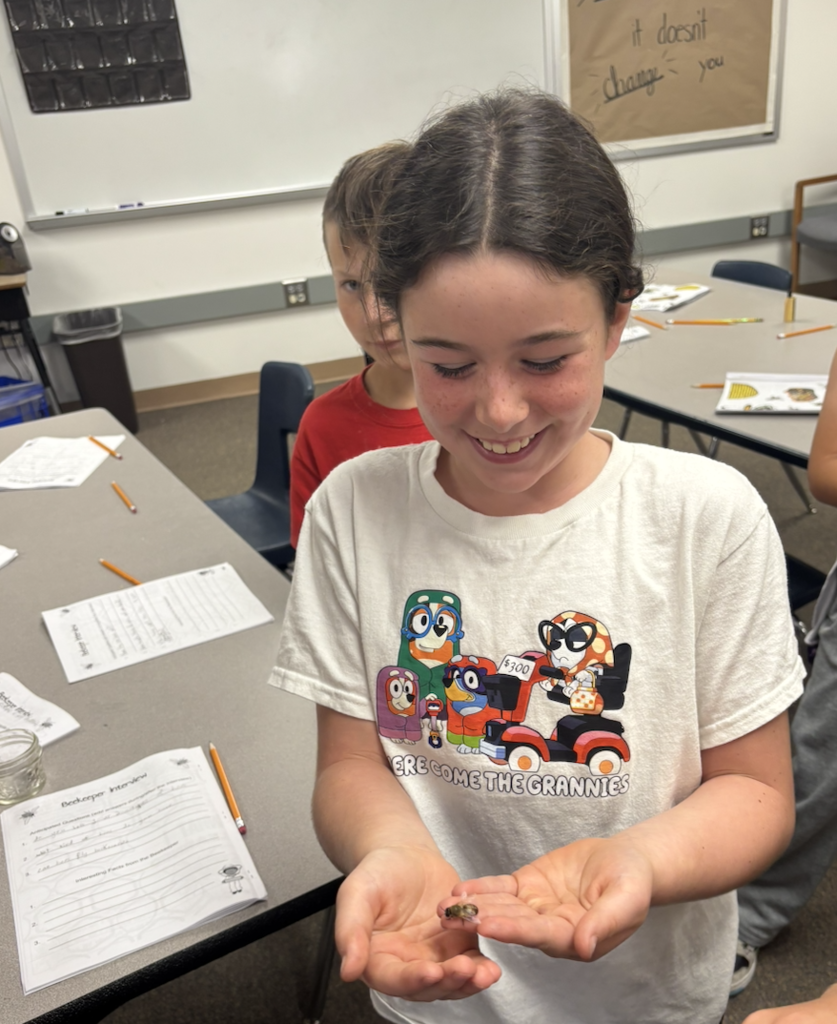 Holding a drone bee (drones don't have stingers)